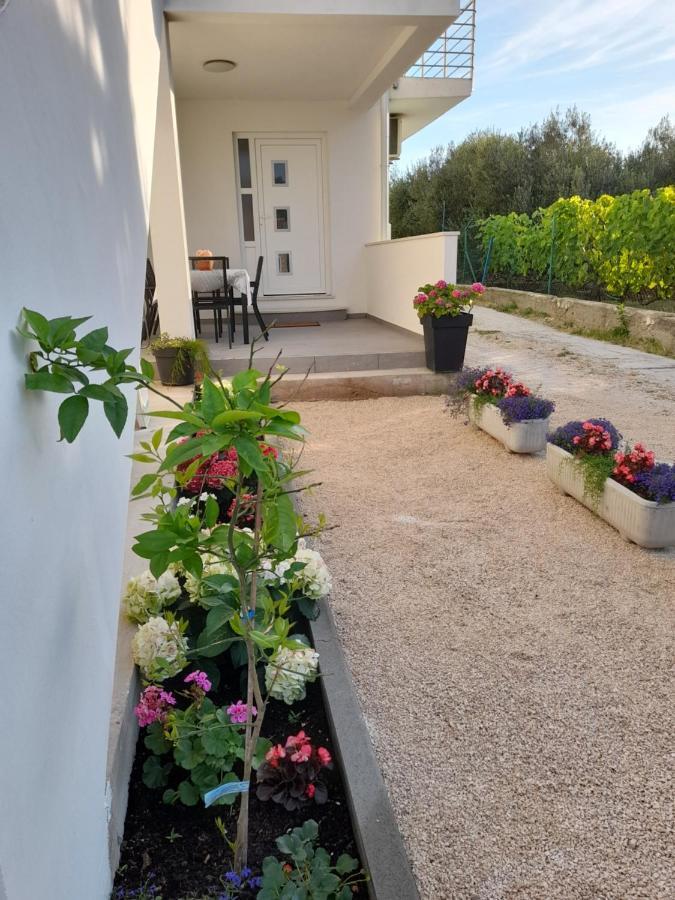 Apartmani Sara Bibinje Εξωτερικό φωτογραφία