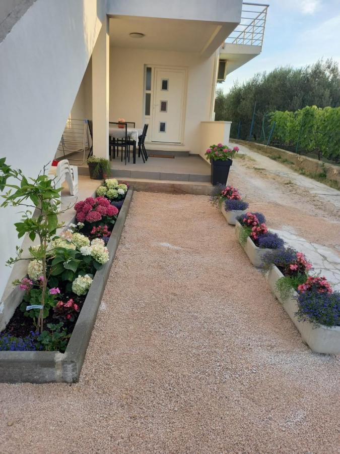 Apartmani Sara Bibinje Εξωτερικό φωτογραφία