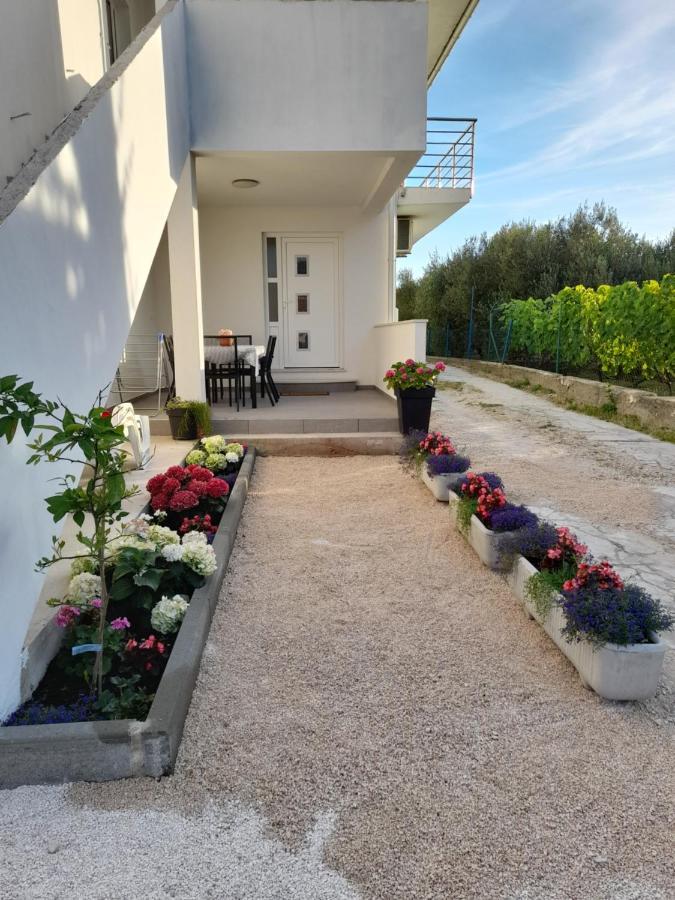 Apartmani Sara Bibinje Εξωτερικό φωτογραφία